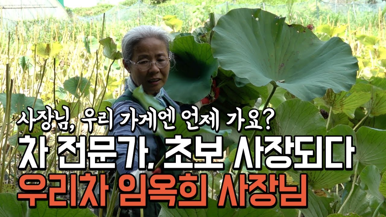 사장님, 왜 가게엔 안가고 밭에만 있어요?몇시간째 밭에서 촬영중... [옥천공설시장 '우리차 임옥희' 임옥희 사장님]